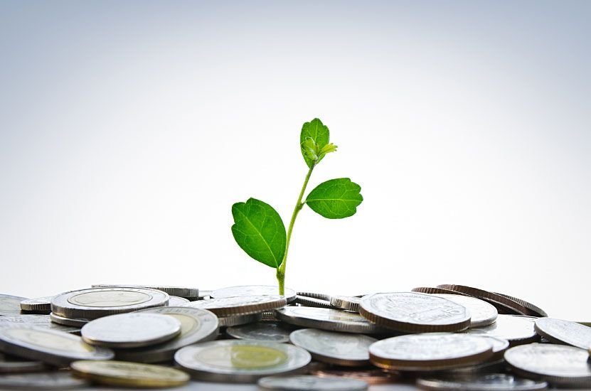 Plant Growing Between Coins